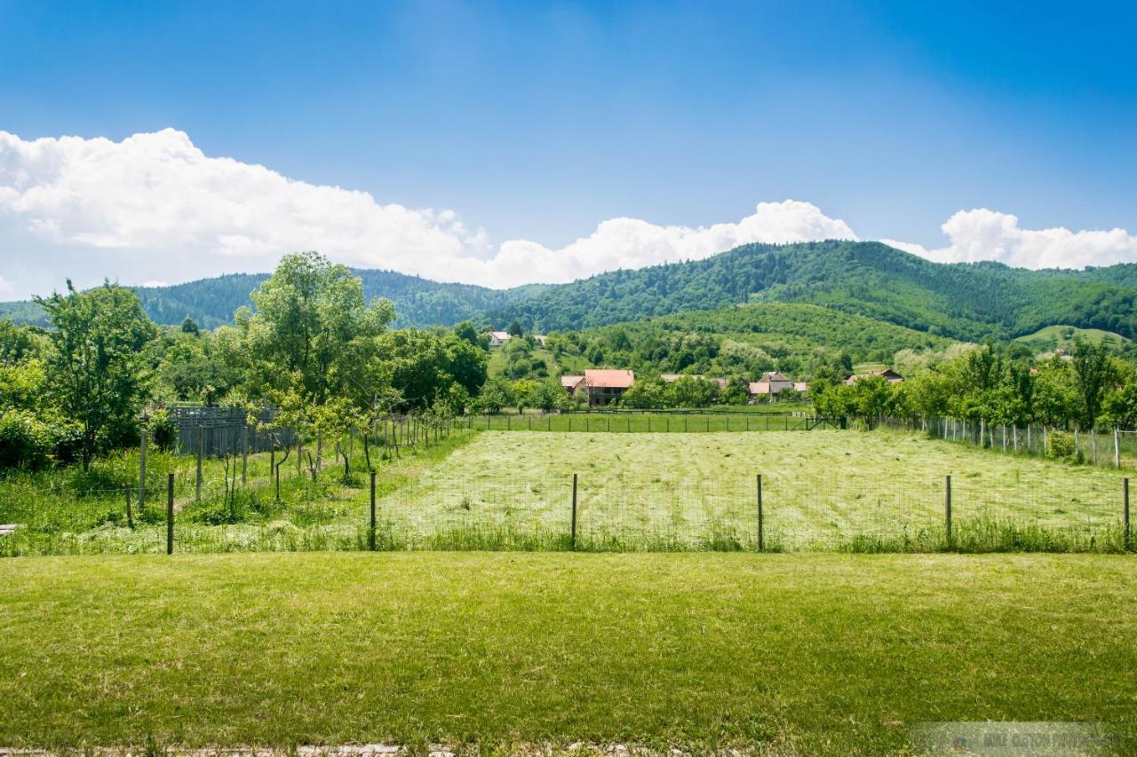 Hotel Casa Rudi & Ella Sălişte Exteriér fotografie
