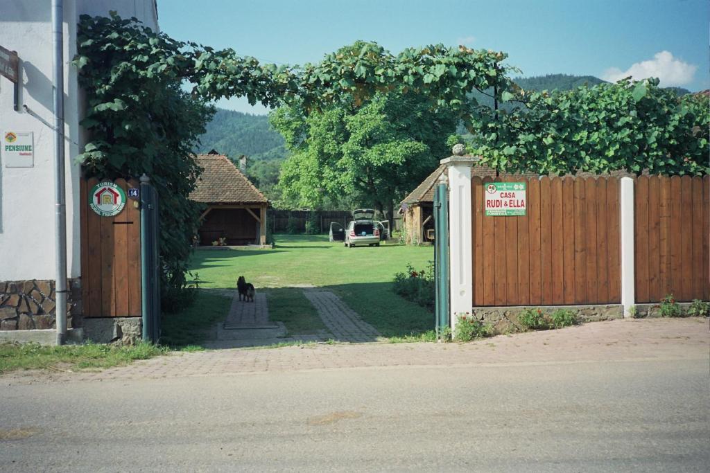 Hotel Casa Rudi & Ella Sălişte Exteriér fotografie